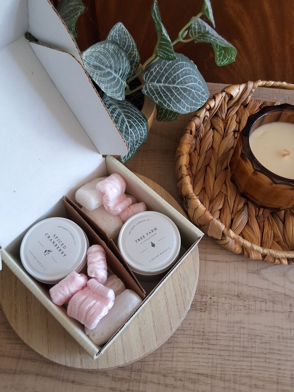 Antique Candle Co "Merry Christmas" Sample Pack